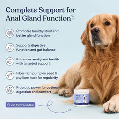 Pawfy dog probiotics bottle highlights digestive health benefits for dogs