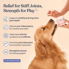 Pawfy Hip & Joint chews closeup highlights glucosamine benefits and palatable texture dogs enjoy.