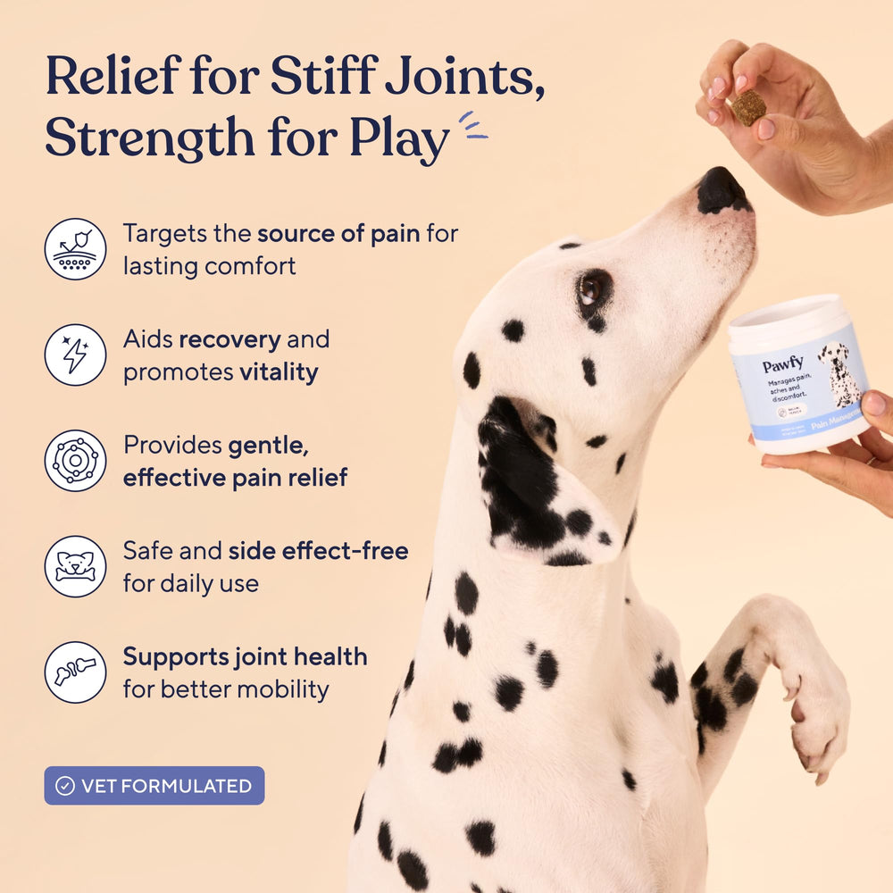 Pawfy joint-support chews close-up show tasty, fast-acting treats for flexible hips.
