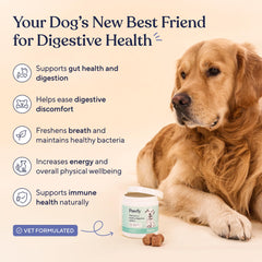 Pawfy Probiotics dog chews bottle pour suggests simple daily dosing.