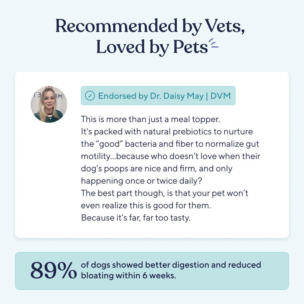 Pawfy Probiotics skin comfort focus supports seasonal resilience.