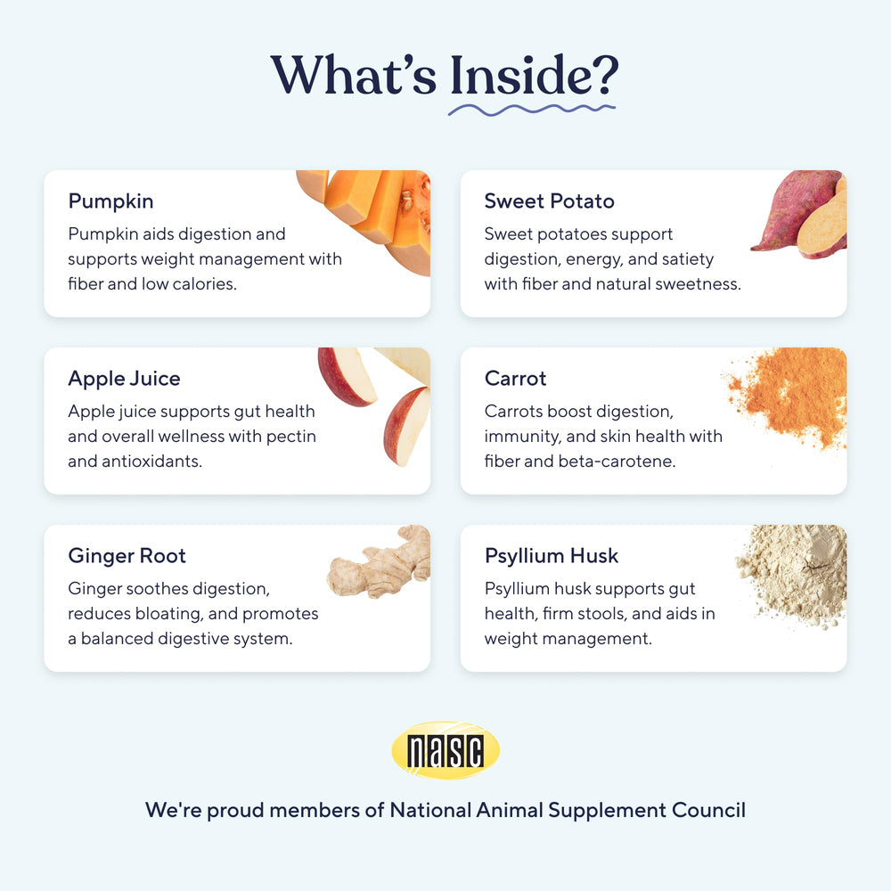 Pawfy powder sprinkled as a meal topper for fiber-rich digestion.