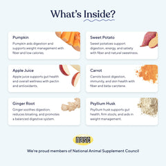 Pawfy powder sprinkled as a meal topper for fiber-rich digestion.