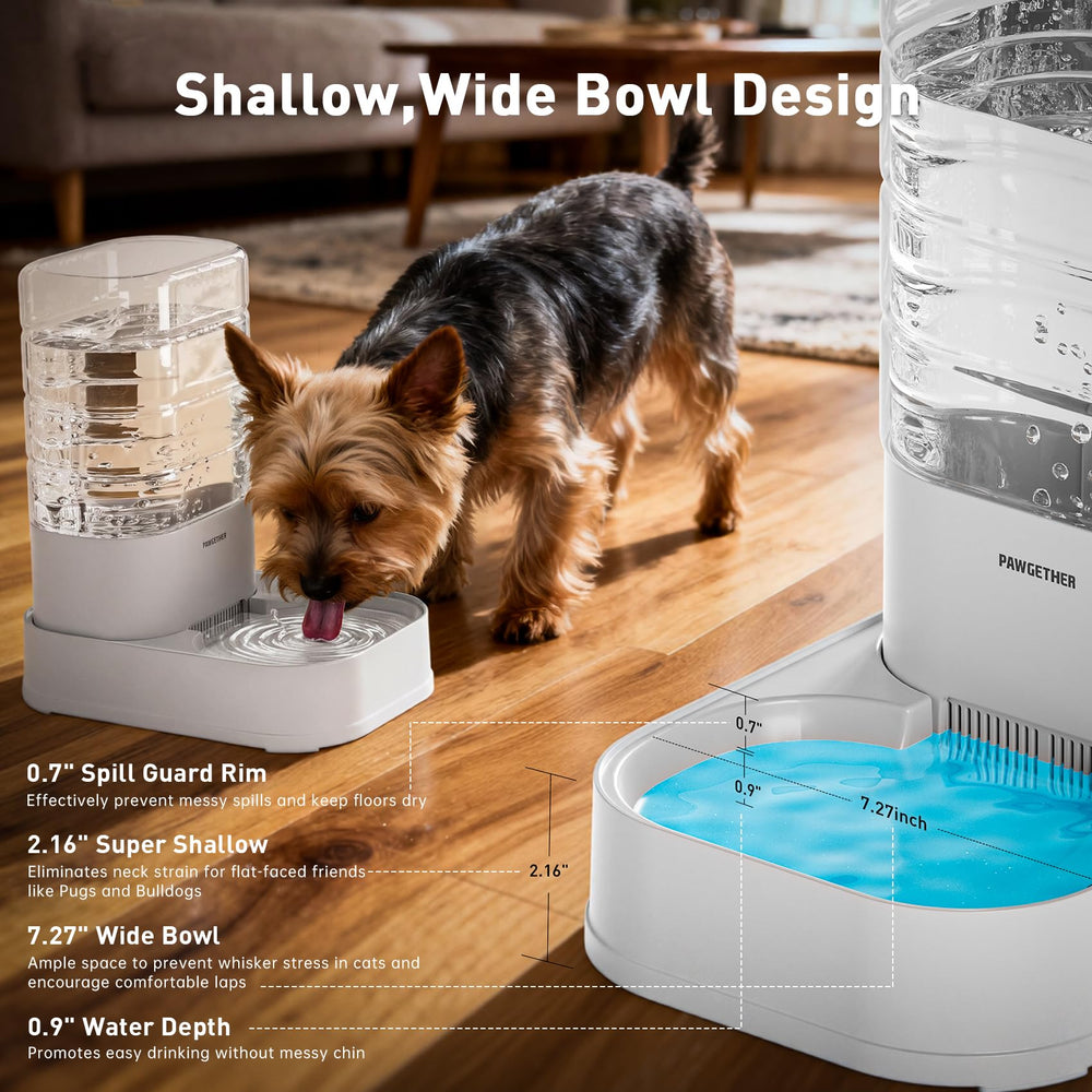PAWGETHER flat-faced-dogs image showing whisker-friendly drinking experience.