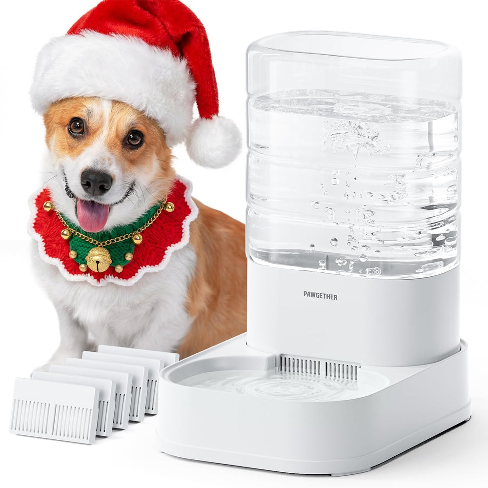 PAWGETHER gravity dog water bowl front-view showing on-demand hydration.
