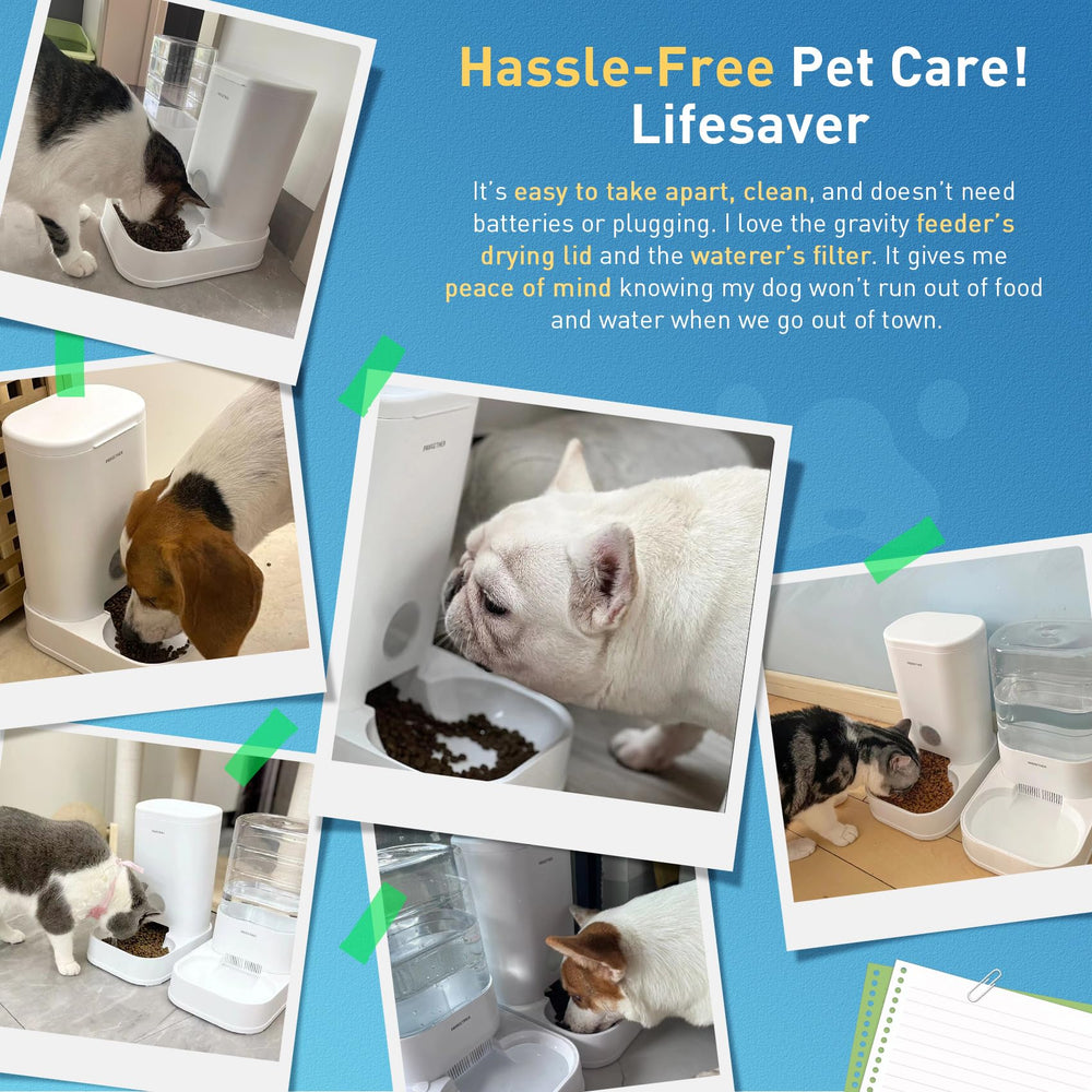 PAWGETHER Gravity Feeder cat-dog feeding scenario makes travel easier