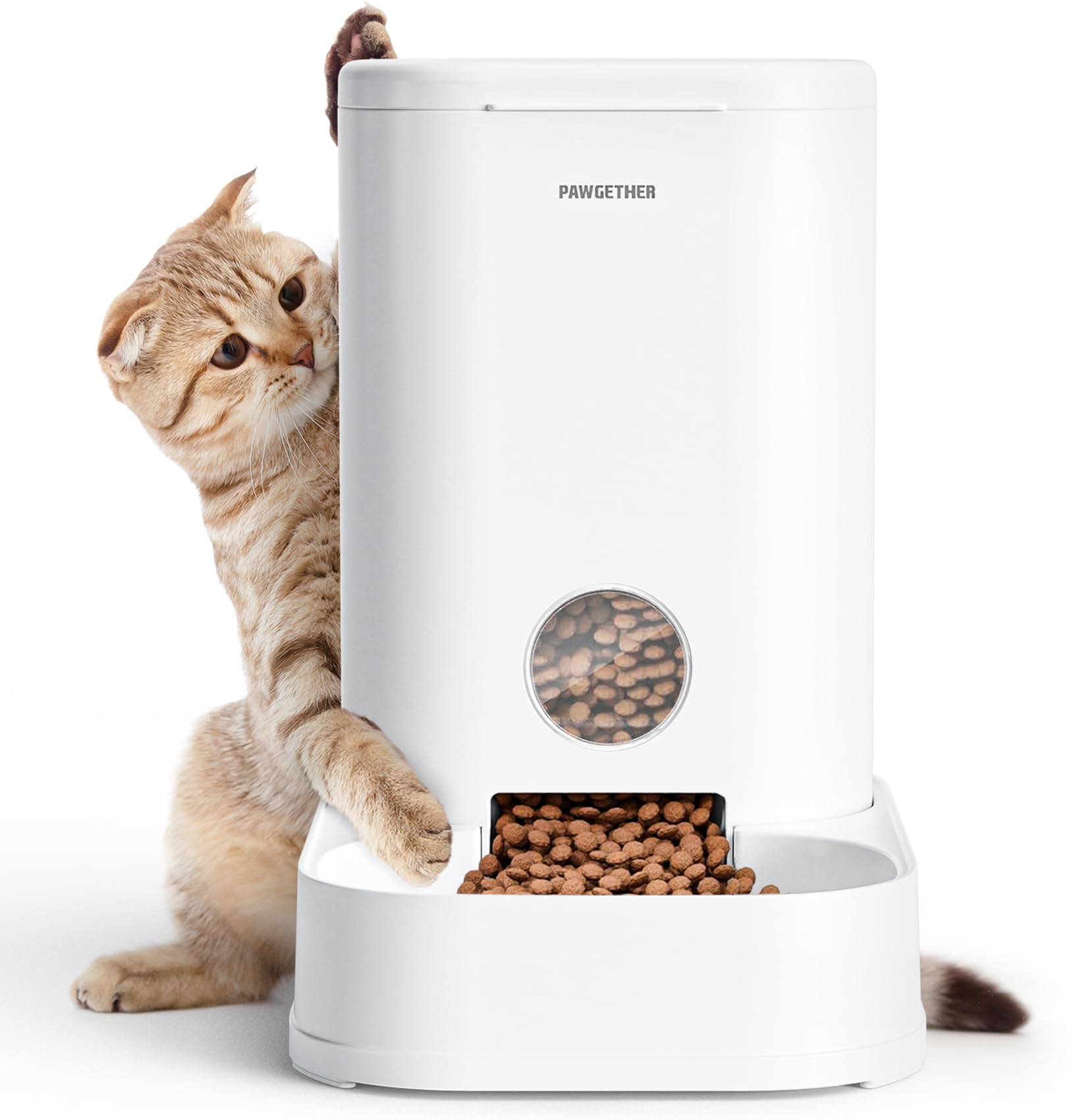 PAWGETHER Gravity Feeder front view shows large capacity and clear window for monitoring food