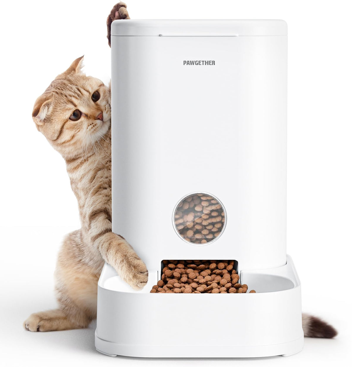 PAWGETHER Gravity Feeder front view shows large capacity and clear window for monitoring food