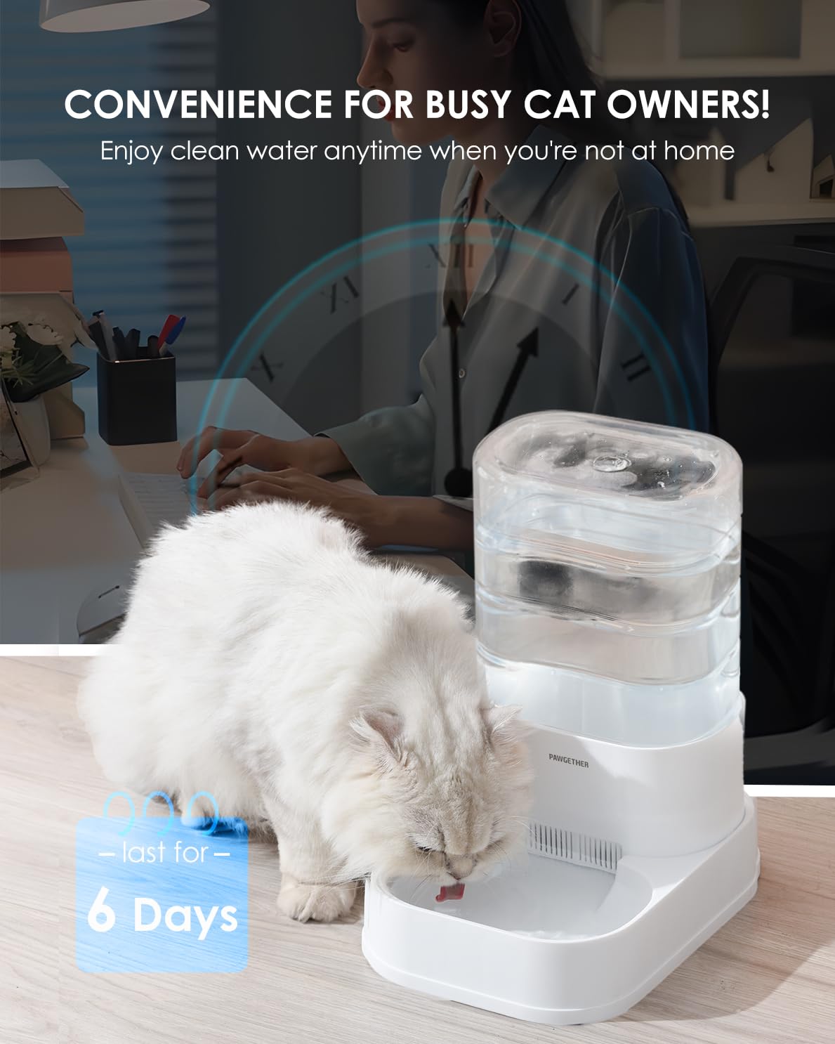 PAWGETHER gravity water dispenser bowl close-up showing shallow design to reduce whisker stress