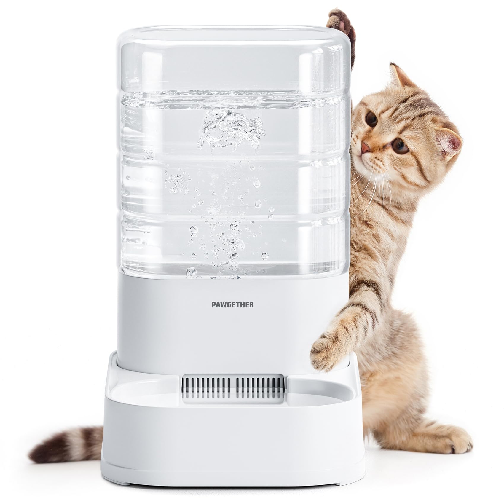 PAWGETHER gravity water dispenser full setup for cats and small dogs