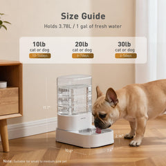 PAWGETHER wide shallow bowl design for whisker-friendly drinking by cats and dogs.