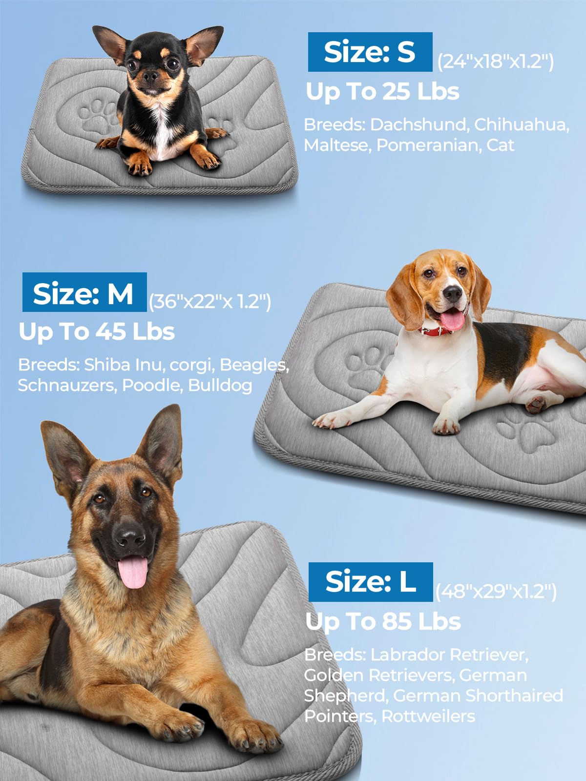 Pawhoo reversible design with Arc-chill cooling fabric for year-round use.