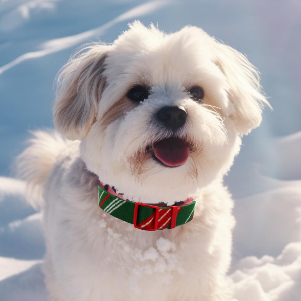 PawHuggies adjustable-fit collar with two-finger gap guide.