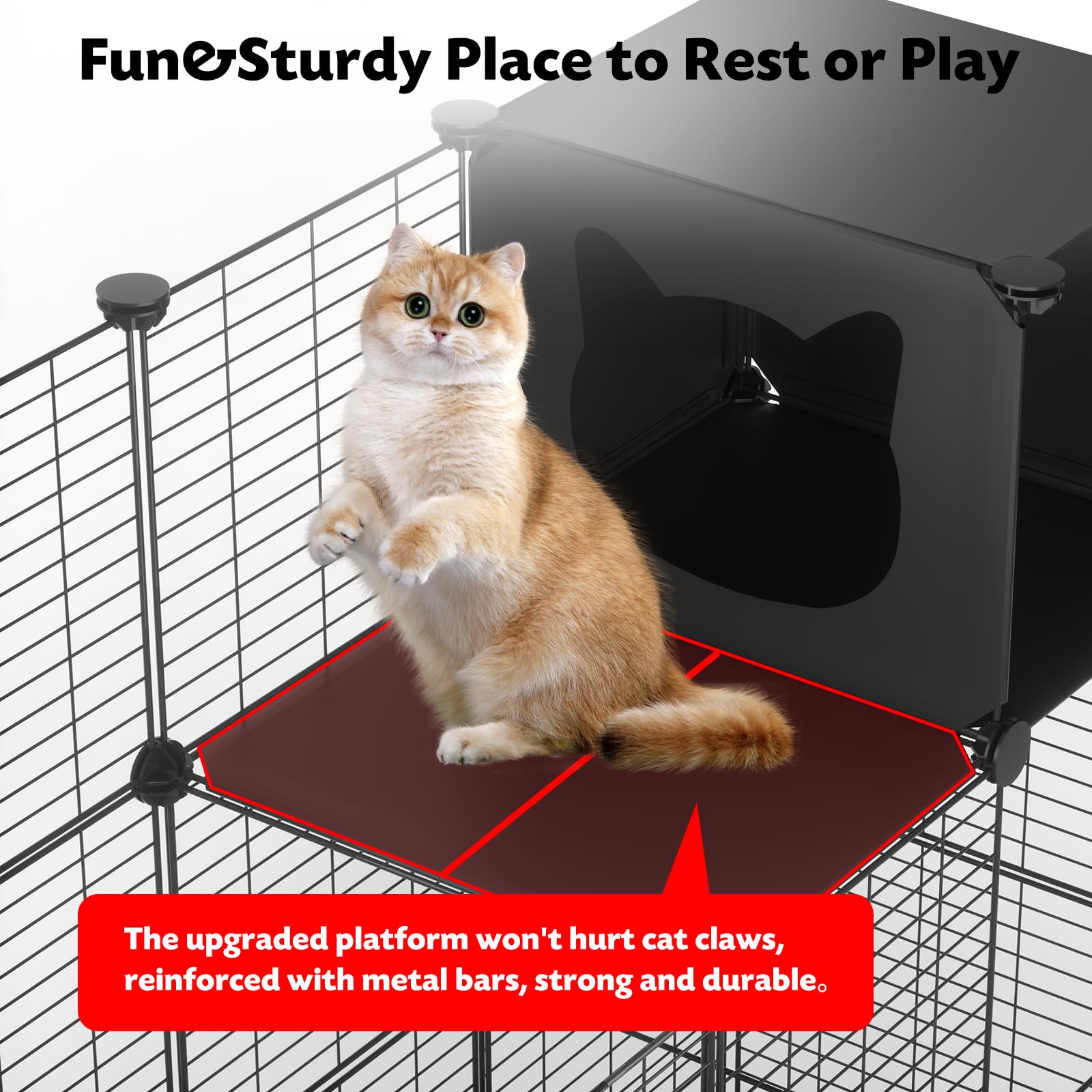 PAWING cat enclosure scratch-resistant platforms endure daily play and paws.