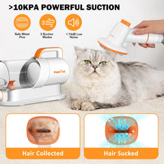PAWING clipper attachment with four comb options for versatile trimming