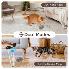 Pawingcat four-direction movement showcases 360° roaming for realistic games