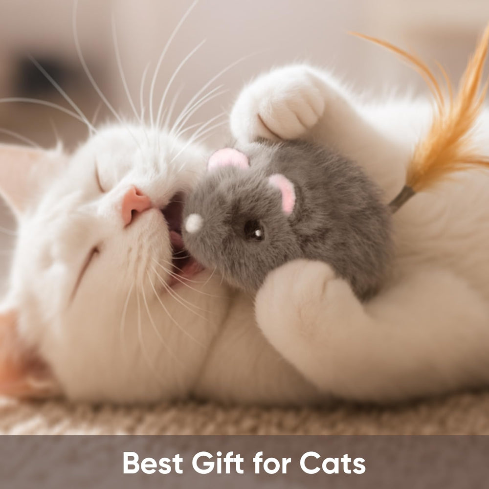 Pawingcat cat mouse toy USB charging enables quick setup and long sessions