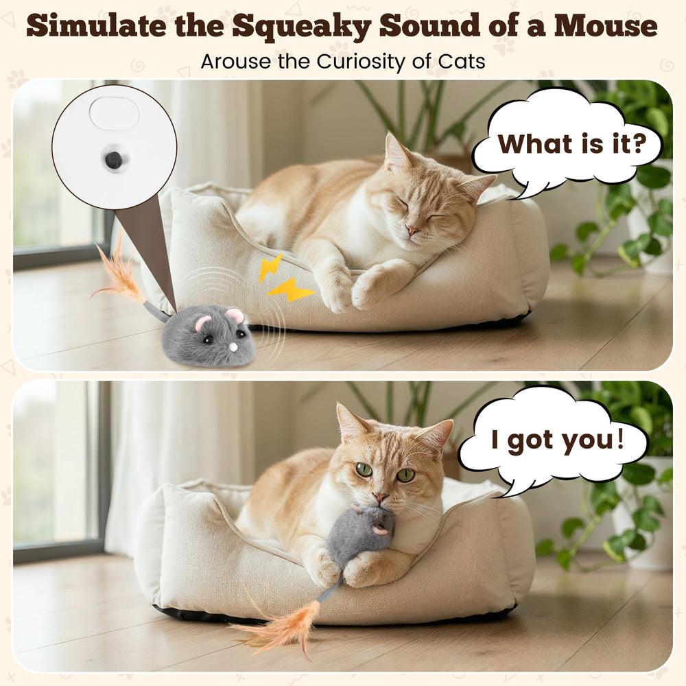 Pawingcat detachable wheels highlight easy cleaning after fur buildup.