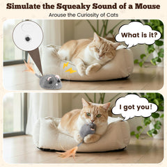 Pawingcat detachable wheels highlight easy cleaning after fur buildup.