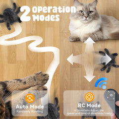 Pawingcat spider modes showcase 2 modes for solo vs interactive play