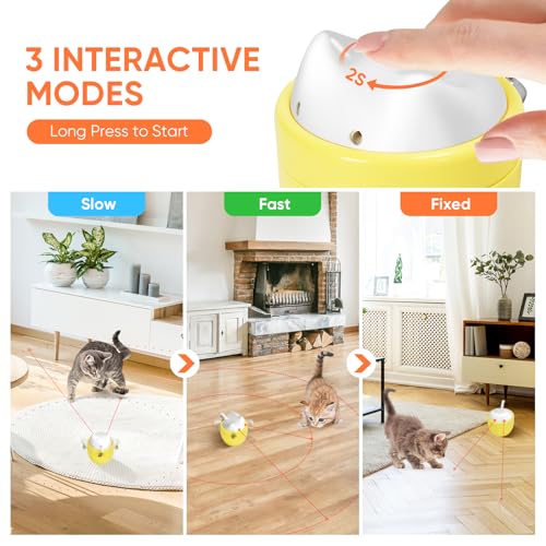 Pawingcat unpredictable patterns keeping cats curious during sessions