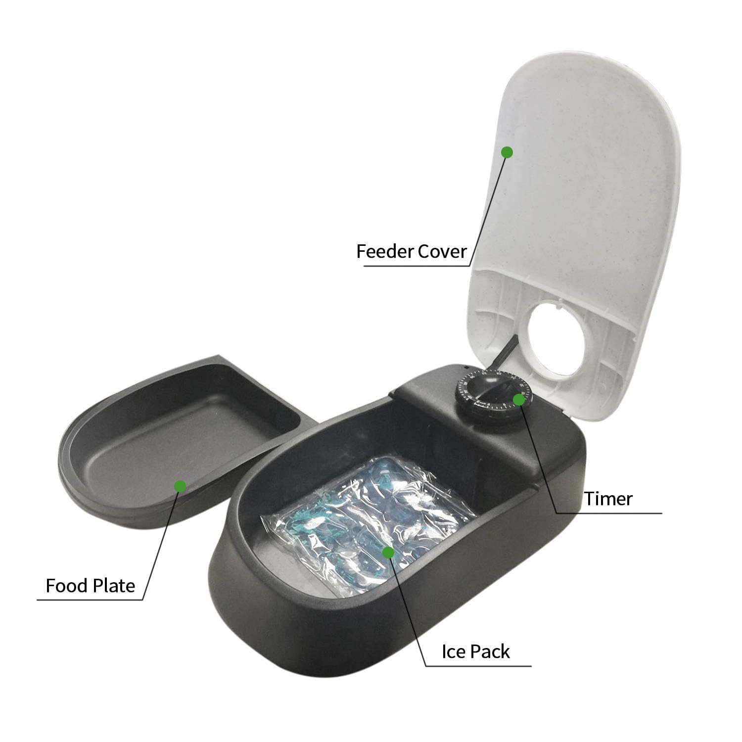 PAWISE Feeder delivery action demonstrates reliable timed meals for pets.