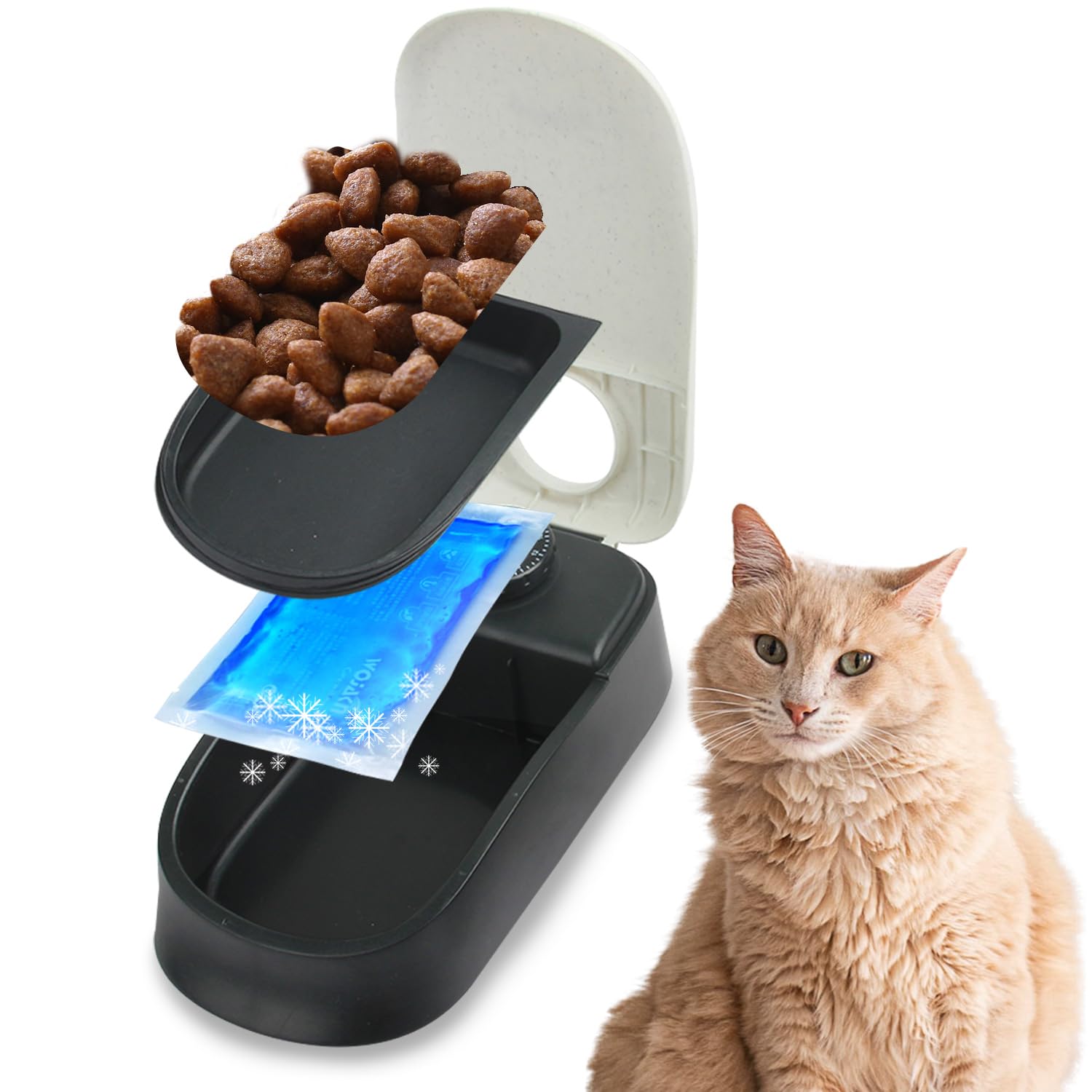 PAWISE Automatic Feeder front view shows compact design for simple meal scheduling.