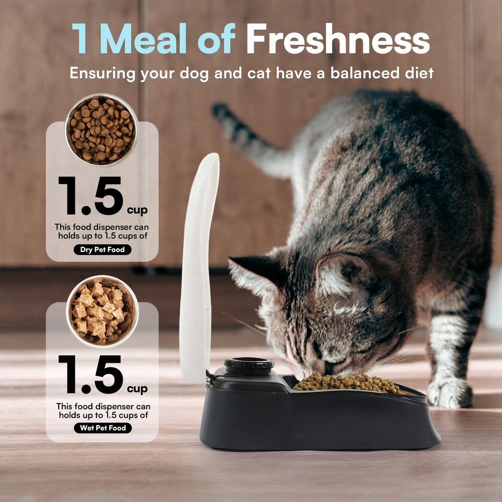 PAWISE Feeder lid-open view for easy refilling and loading food.