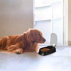 PAWISE Automatic Feeder top view with accessible controls for programming meals.