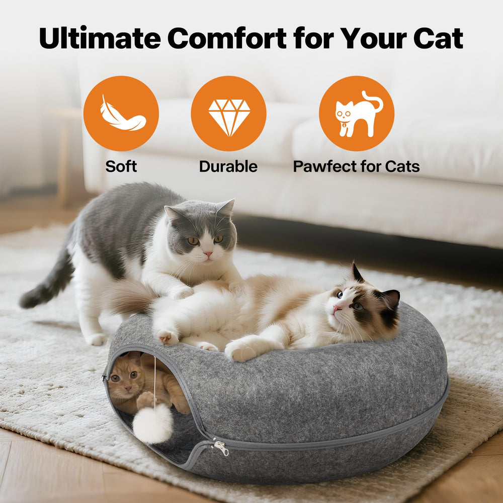 PAWISE cat collar included supports safety and style during playtime.