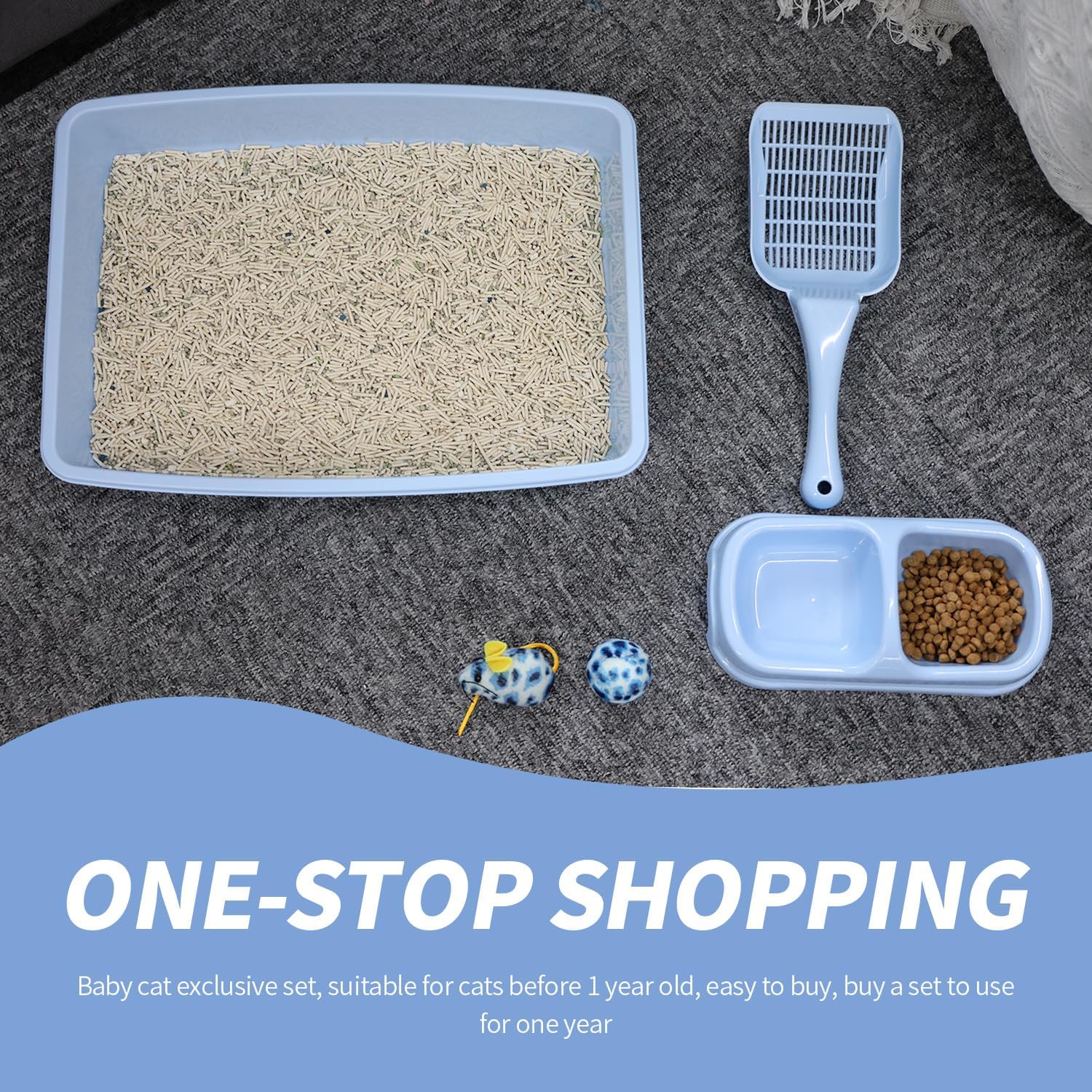 PAWISE starter-kit assembly image shows ready-to-use setup for new cats.