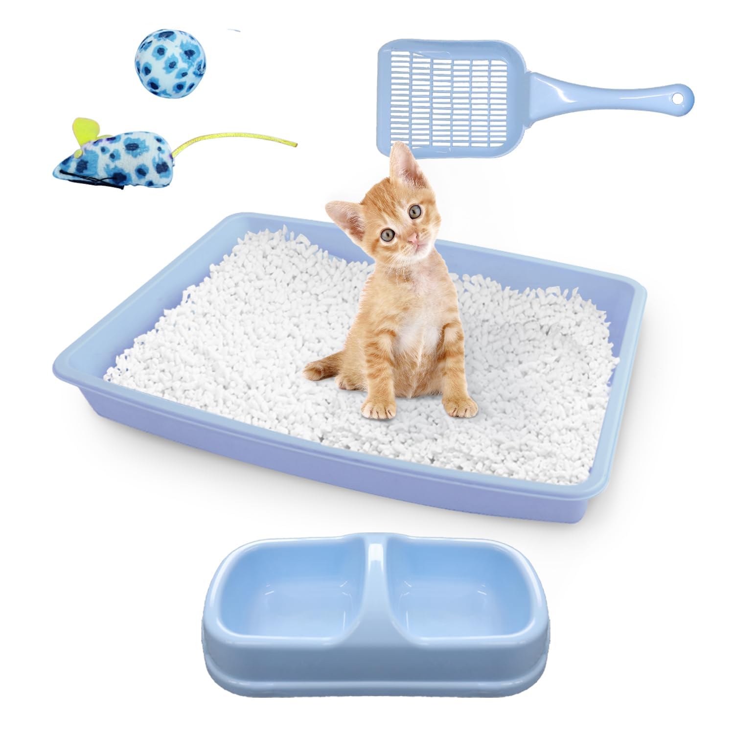 PAWISE top-entry litter box with low entry for easy kitten access.