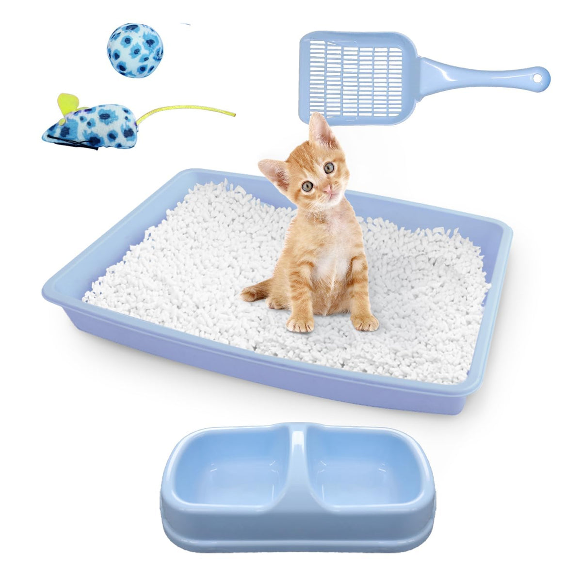 PAWISE top-entry litter box with low entry for easy kitten access.