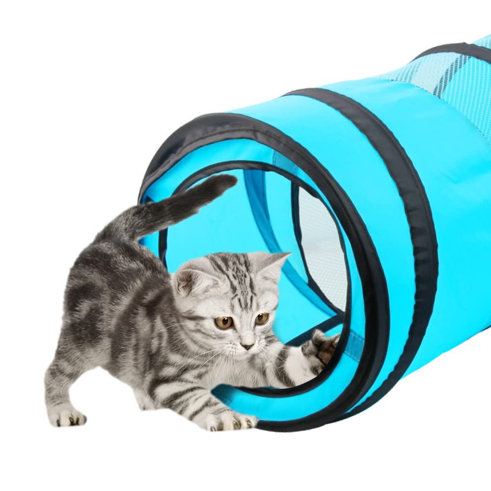 PAWISE cat tent interior offers a cozy hideaway for pets.