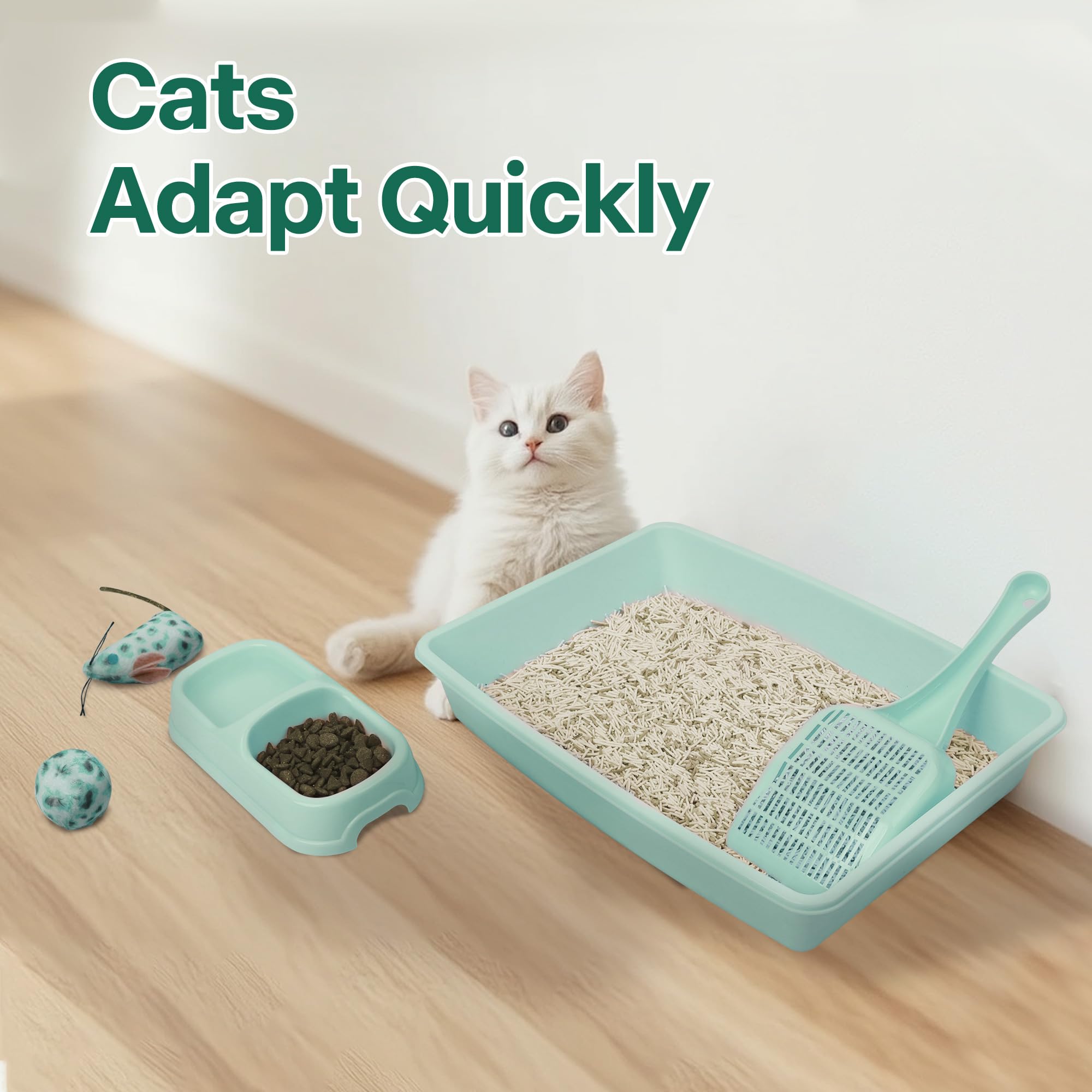 PAWISE cat toys: mouse and ball for playful training.