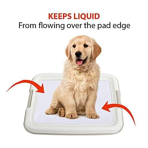 PAWISE ideal for puppies and seniors, offering a reliable potty solution at home.