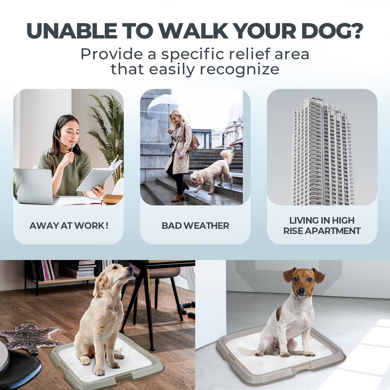 PAWISE indoor puppy potty tray demonstrates stable pad placement on hardwood, tile, or carpet.