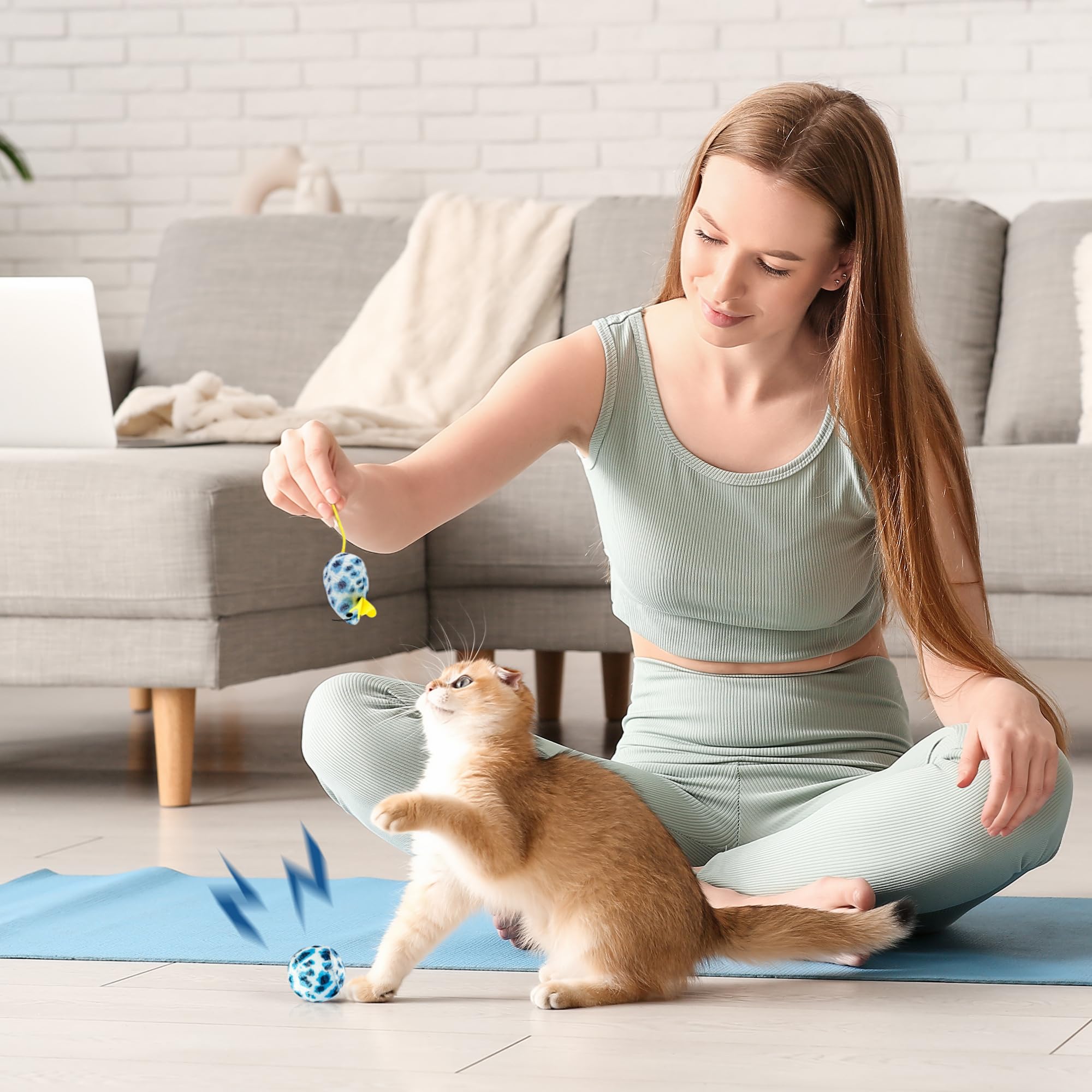 PAWISE Kitty Litter Box Set blue-color enhances cheerful home aesthetics.