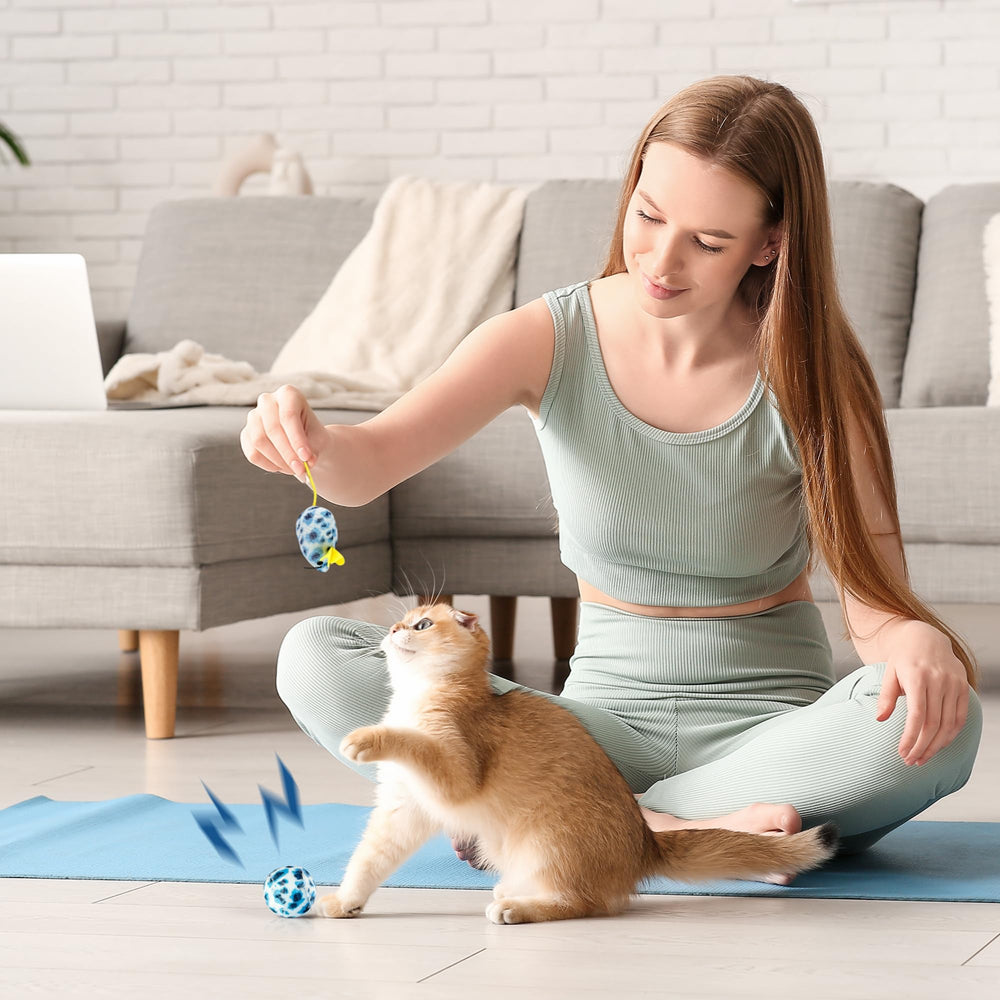 PAWISE Kitty Litter Box Set blue-color enhances cheerful home aesthetics.