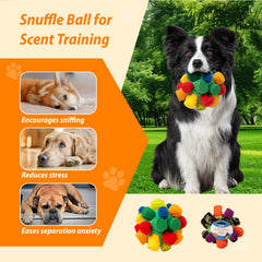 PAWISE Snuffle Ball with hidden treats inside for slow feeding and enrichment