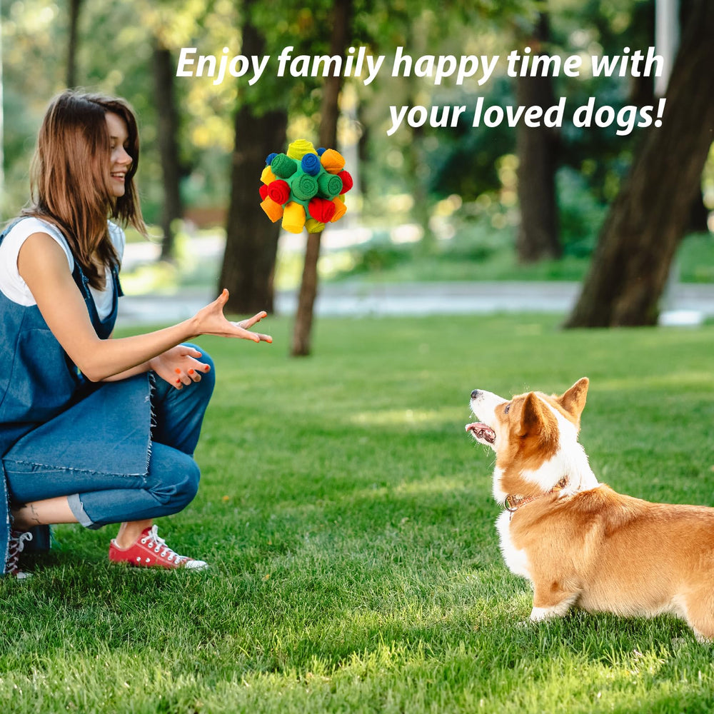 PAWISE Snuffle Ball indoor enrichment supports boredom relief during indoor sessions