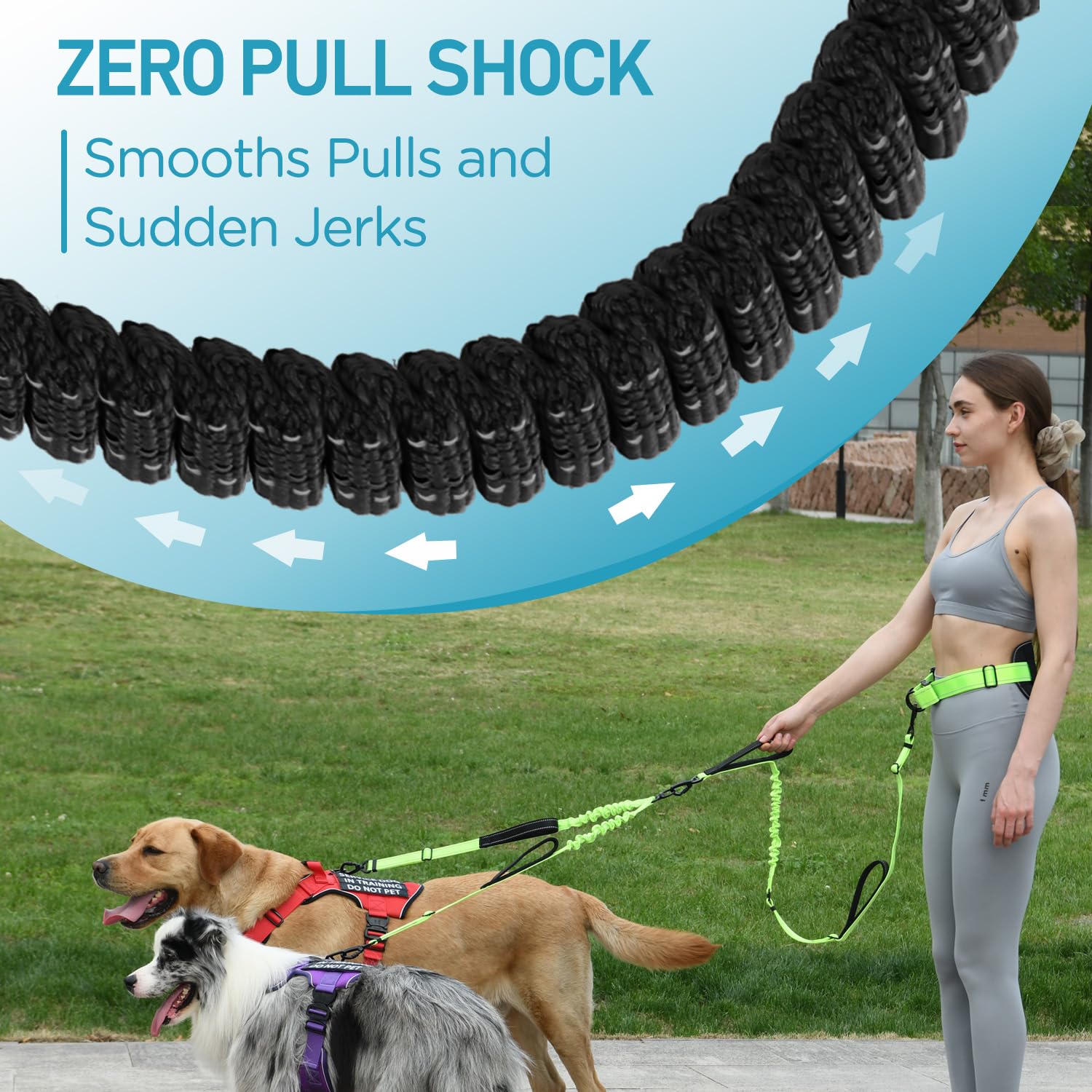 PawistaPal reinforced 360° carabiner with safety lock ensures secure, tangle-free walks.