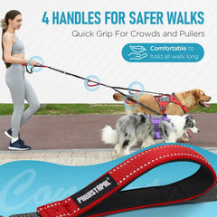 PawistaPal dual-dog splitter demonstrates tangle-free walking.