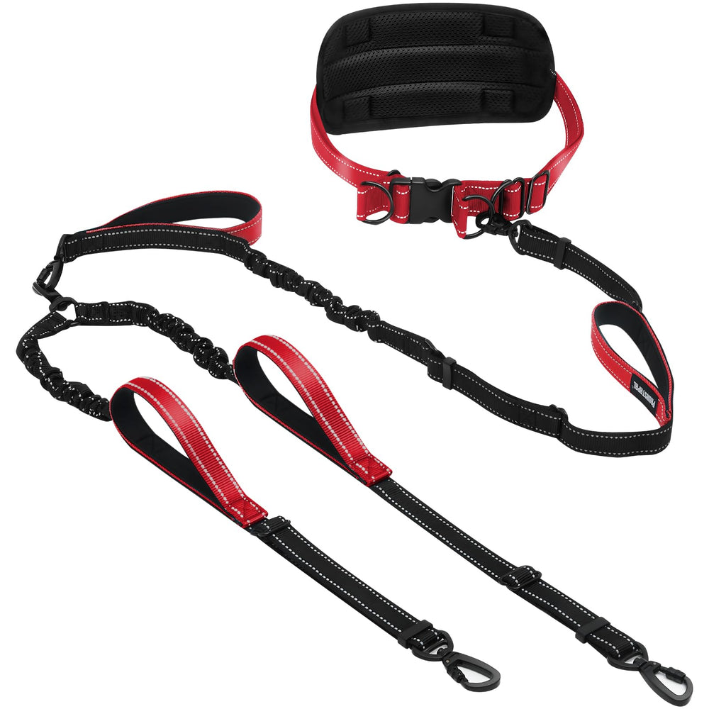 PawistaPal hands-free leash front view shows padded handles for comfortable control.
