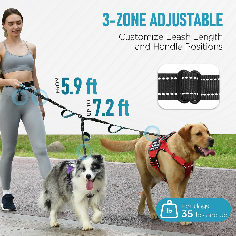 PawistaPal Hands Free Leash rear handle close-up for quick grip during pulls.
