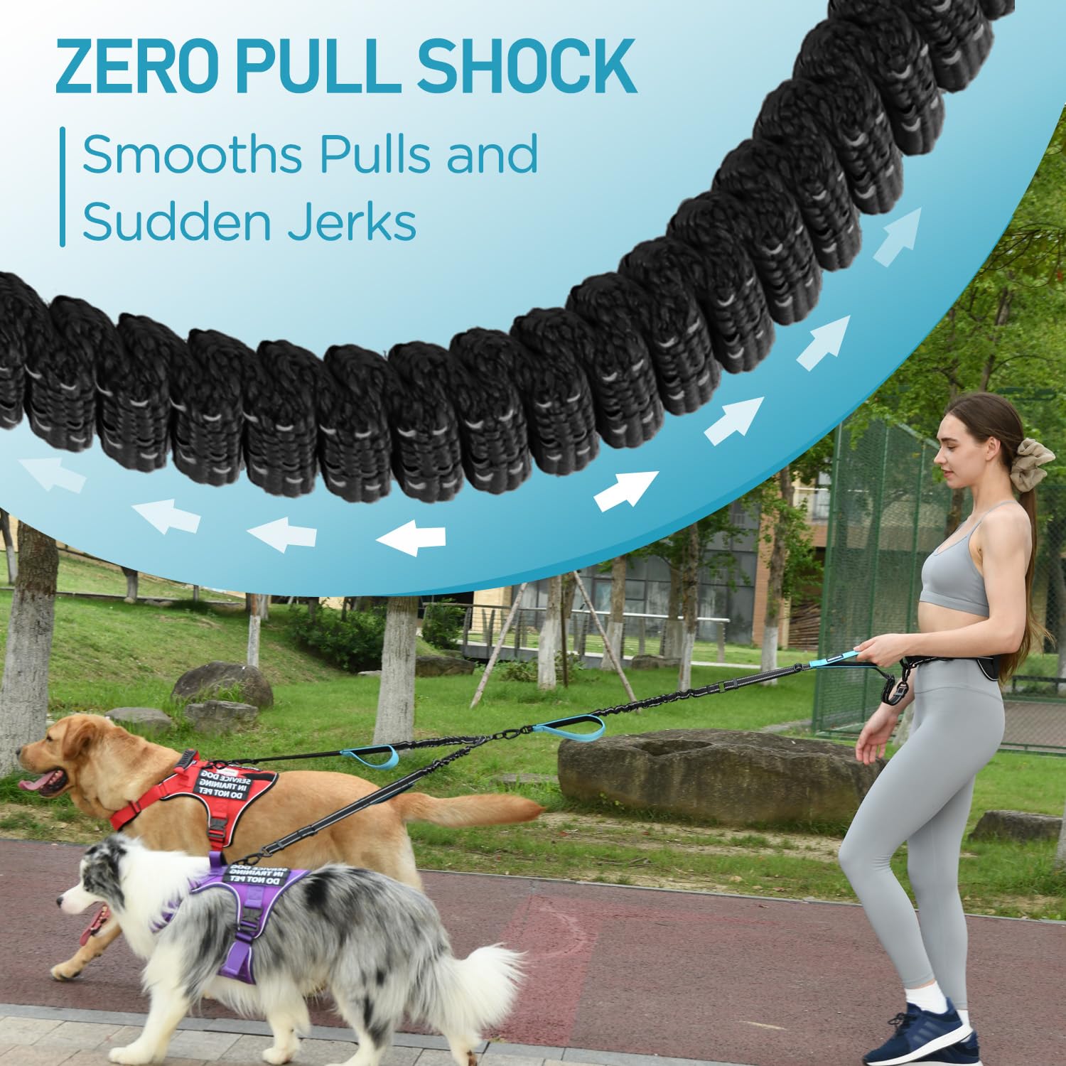 PawistaPal Heavy-duty nylon with reinforced stitching for strong, active dogs.