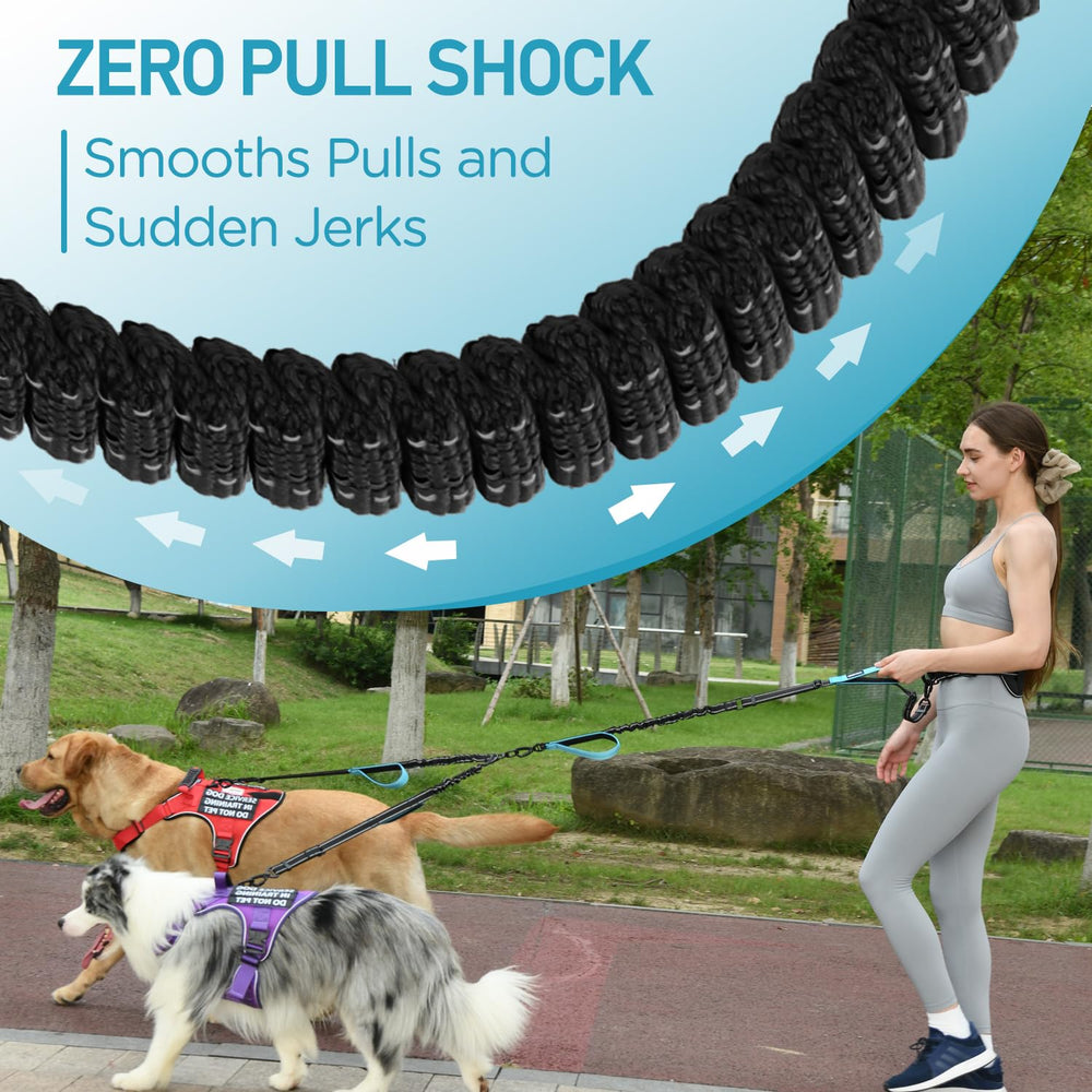 PawistaPal Heavy-duty nylon with reinforced stitching for strong, active dogs.