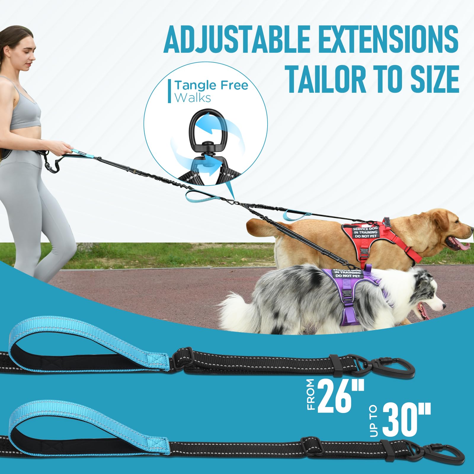 PawistaPal Reflective stitching on leash increases visibility during dawn or dusk walks.