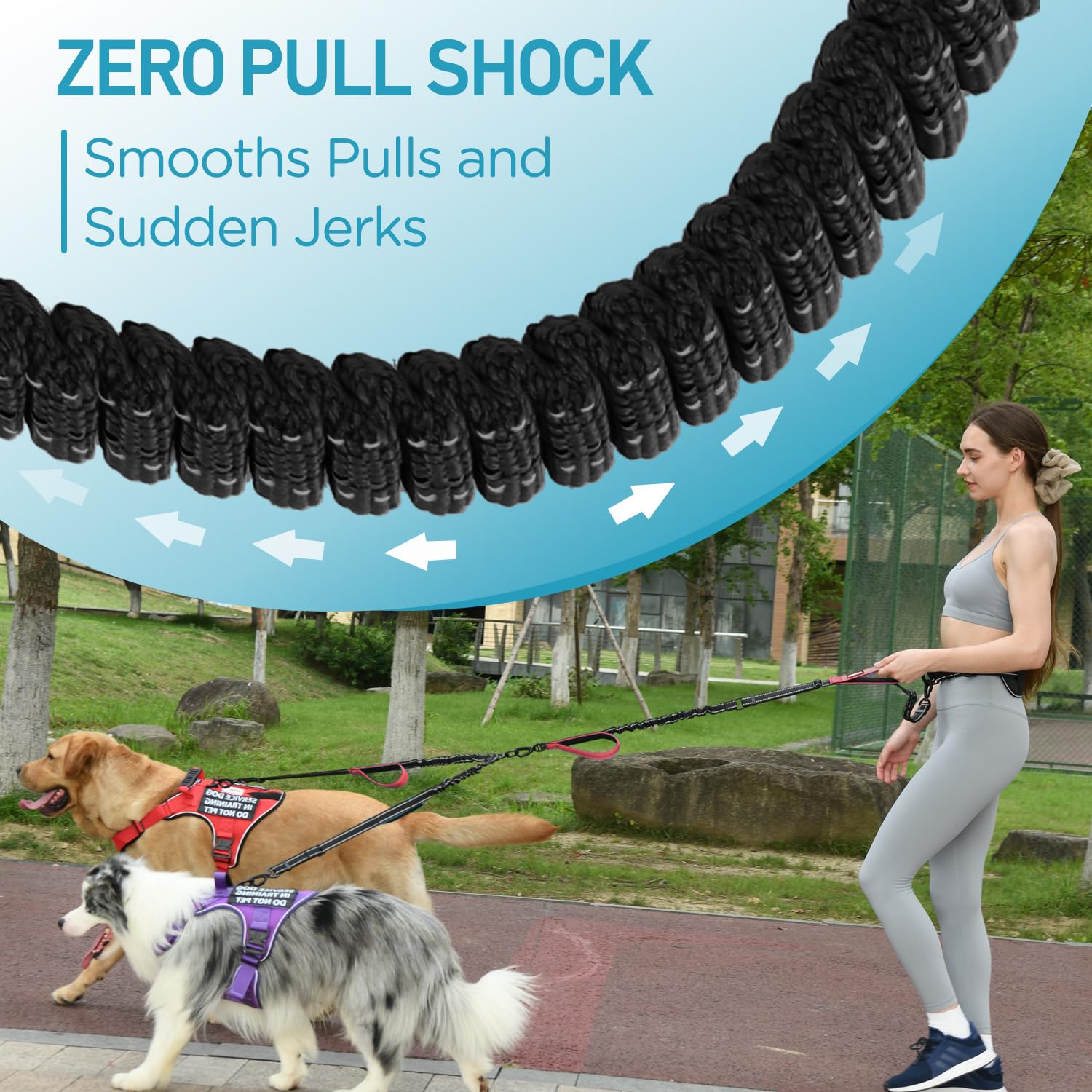 PawistaPal fully adjustable length demonstrates flexible range for walks or runs.