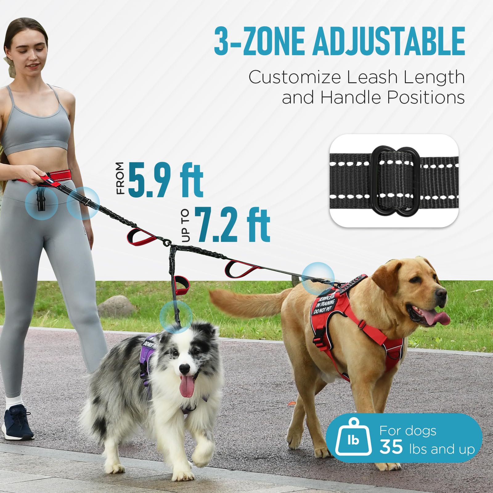 PawistaPal waist belt close-up with breathable lining for a cooler, stable fit.